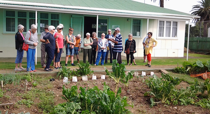 Our Gardens stadium teaching garden - Our Gardens
