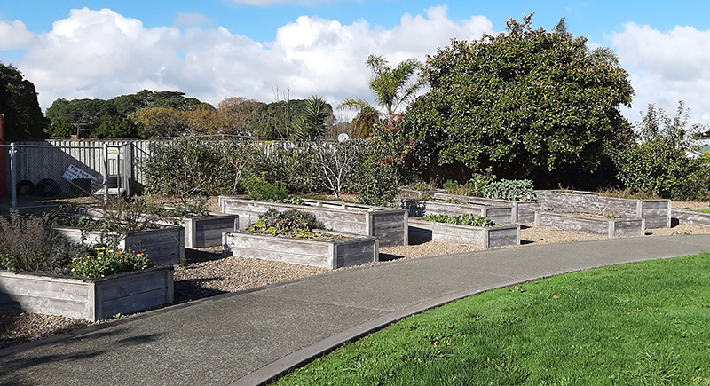 Our Gardens toia community display garden - Our Gardens