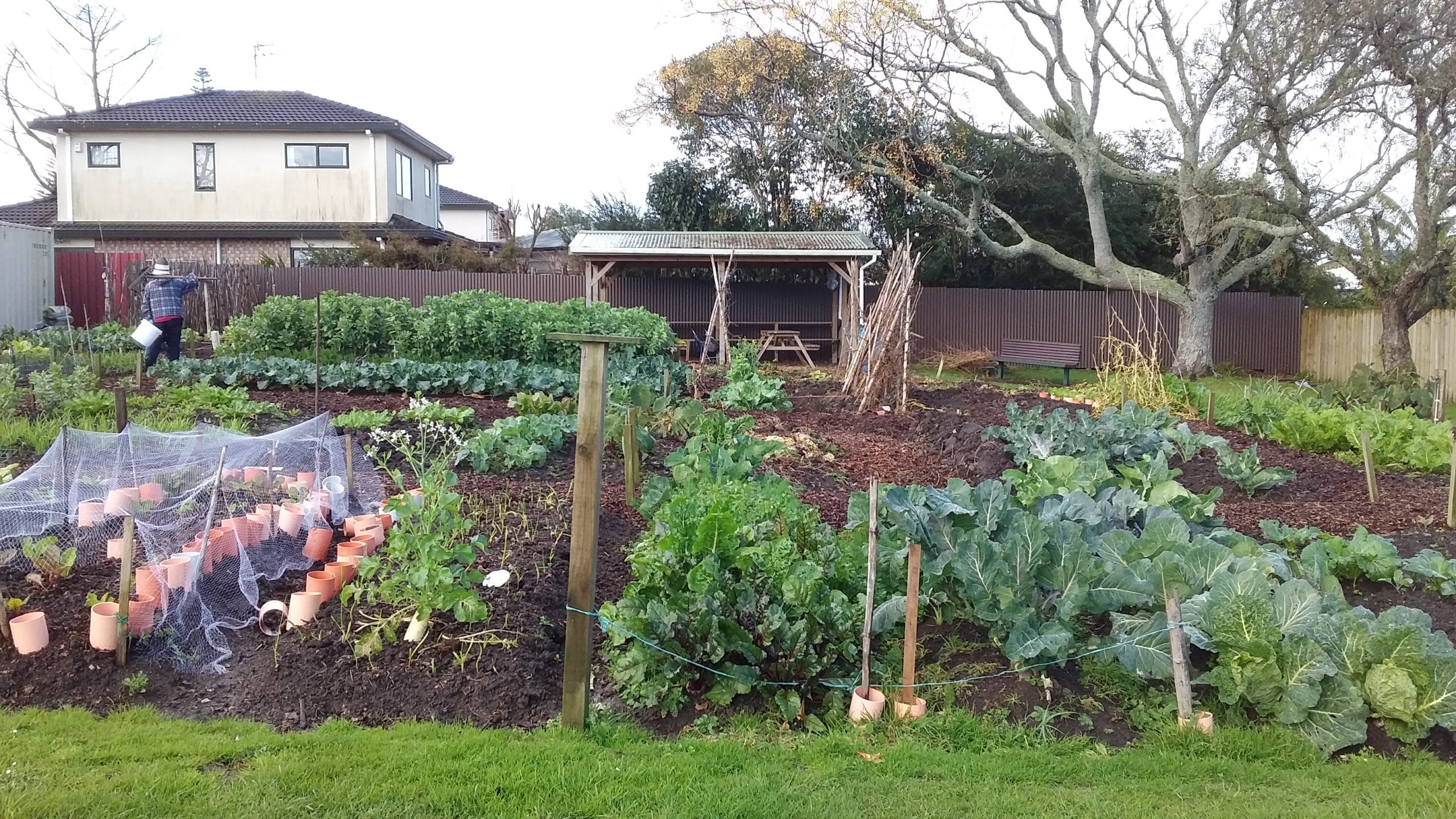 Our Gardens Maich scaled - Our Gardens