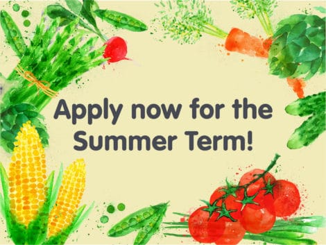 summer term 470x353 - Our Summer teaching term is here!